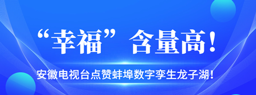 ?“幸?！焙扛?，安徽電視臺點贊蚌埠數(shù)字孿生龍子湖！